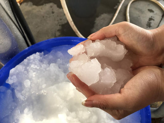 Máquina para hacer hielo en lodos 3T/24H Máquina para hacer hielo para mariscos