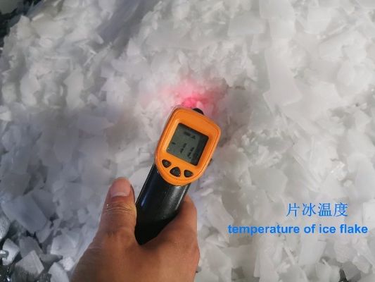 Máquina de hielo en escamas de agua dulce 2T 380V/220V con almacenamiento de hielo