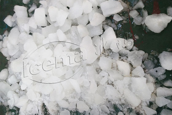 Exprimidor doméstico Trituradora de hielo Hotel comercial al aire libre