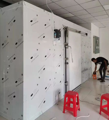 Precio de la sala de frío comercial Contenedor de 20 pies en congelador almacenamiento en frío para conservar frutas / verduras / pescado / transporte