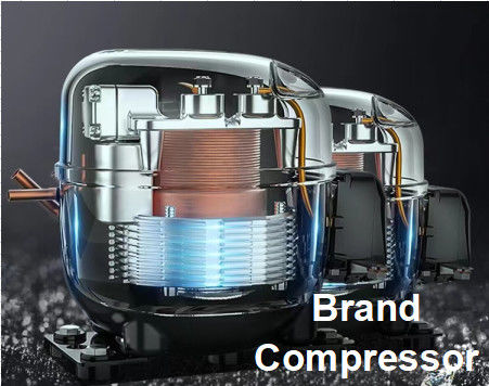 Comercial ultra grande de la capacidad del congelador 1350L del refrigerador vertical de la puerta de cristal