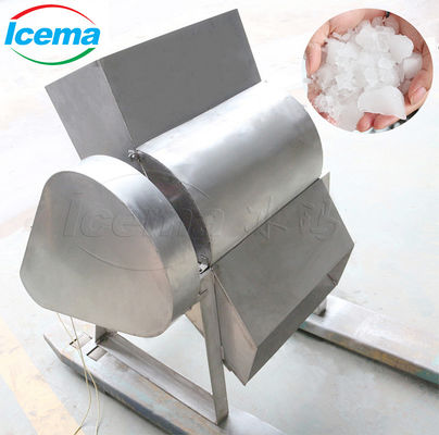 9T/h Capacidad portátil de acero inoxidable ICEMA Mini máquina para hacer hielo para mantener fresco