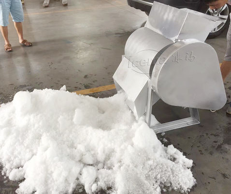 9T/h Capacidad portátil de acero inoxidable ICEMA Mini máquina para hacer hielo para mantener fresco