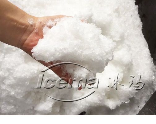 9T/h Capacidad portátil de acero inoxidable ICEMA Mini máquina para hacer hielo para mantener fresco