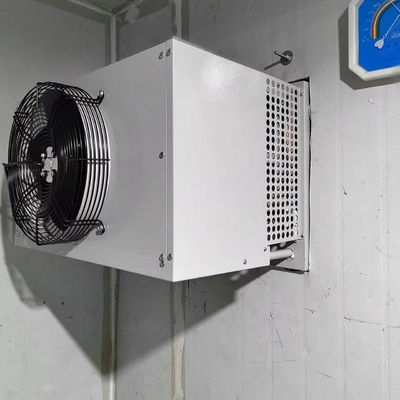 Unidad de condensación evaporativa del congelador industrial de la cámara frigorífica